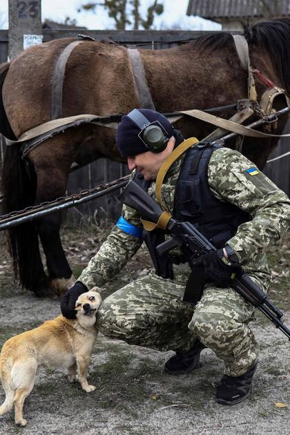 Un miembro del ejército ucraniano juega con un perro en una carretera cerca de Buda-Babynetska, al norte de Kiev, el 5 de abril de 2022, días después de que las fuerzas rusas se retiraran del área