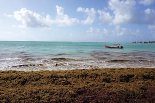 ¿Qué tiene que ver el turismo con el cambio climático?
