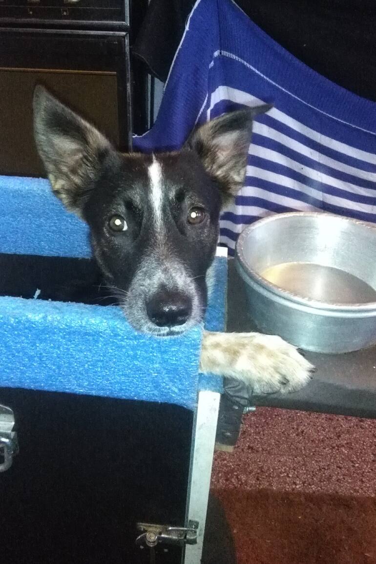 A Morita la encontraron en Mataderos uno de los días más fríos del año.