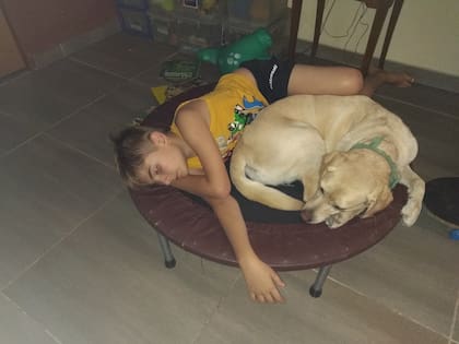 A Nico le gusta mucho jugar en el piso, es un momento de interacción con Volta casi constantemente, porque ella está siempre alrededor de él. También descansan juntos en un saltarín que comparten.