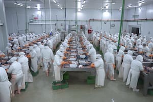 A nivel global, la evolución será positiva: “El consumo per cápita global aparente de productos acuáticos alcanzará los 21,8 kg para 2034, pero en la Argentina el consumo promedio sigue muy bajo, con alrededor de 5 kg anuales per cápita"