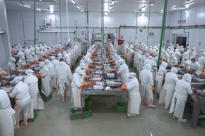 A nivel global, la evolución será positiva: “El consumo per cápita global aparente de productos acuáticos alcanzará los 21,8 kg para 2034, pero en la Argentina el consumo promedio sigue muy bajo, con alrededor de 5 kg anuales per cápita"