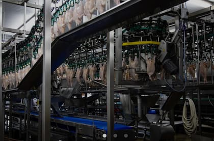 A nivel local, dijeron, la situación “se agravó por medidas sindicales desproporcionadas que afectaron severamente los niveles de faena y la previsibilidad operativa en la región”