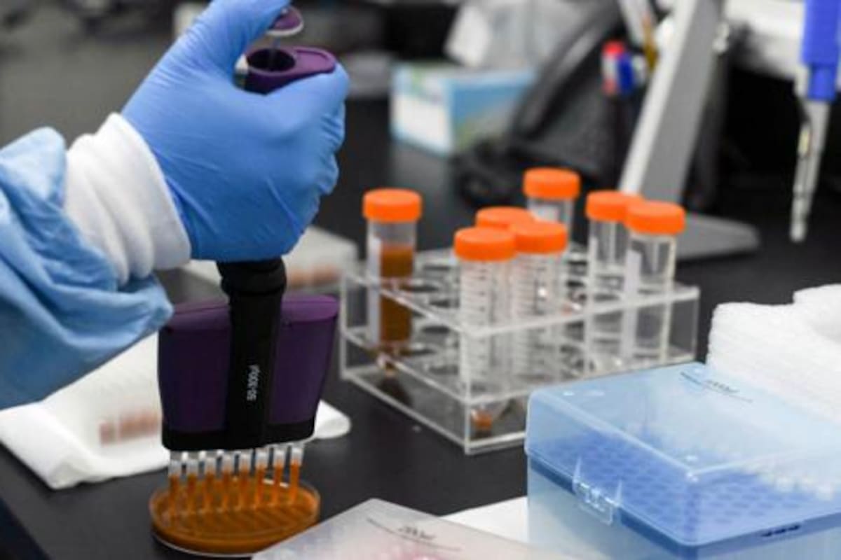 A nivel local, existen dos sistemas no integrados de vigilancia genómica de SARS-CoV-2 en el país, el instituto ANLIS-Malbran y el proyecto PAÍS