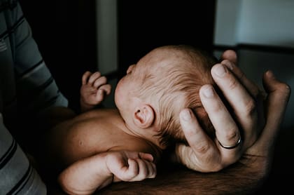 A partir de julio de 2026 se podrán acceder a los recursos de Cuentas Trump (Unsplash)