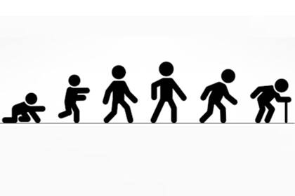 A partir de los cuarenta años, se produce una pérdida media de casi un centímetro cada diez años