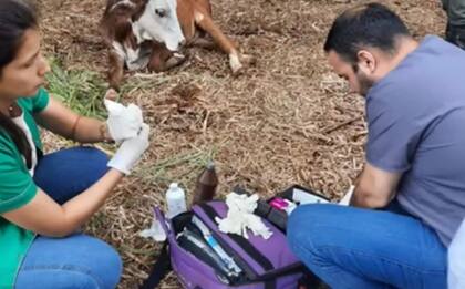 A partir de su fundación, los directivos buscaron impulsar la conciencia solidaria y apoyar al sector agropecuario a través de la difusión de los avances tecnológicos para los cultivos de la región, el cuidado de la salud animal y el monitoreo de especies nativas tanto vegetales como animales