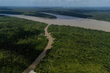 A partir del martes, los Jefes de Estado y de Gobierno de los países amazónicos sudamericanos debatirán en Belem (Brasil) sobre la protección de la selva tropical.
