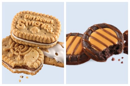 A pesar de las despedidas, los clásicos de la marca seguirán disponibles. La oferta de 2025 incluye los sabores más icónicos (https://www.girlscouts.org/)