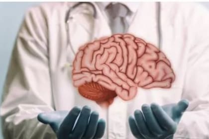A pesar de los increíbles avances de la ciencia, todavía no hemos podido trasplantar el cerebro