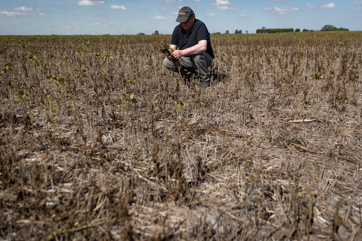 A pesar de que la agricultura es una de las principales generadoras de divisas en la Argentina, es baja la financiación frente a las necesidades del sector