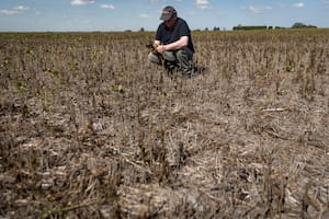 A pesar de que la agricultura es una de las principales generadoras de divisas en la Argentina, es baja la financiación frente a las necesidades del sector