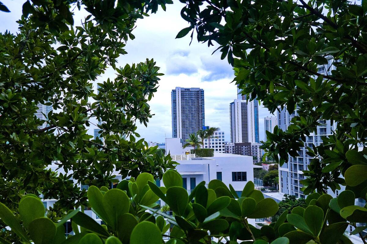 A pesar de sus múltiples atractivos, los habitantes de esta ciudad se dicen poco dispuestos a ayudar a otros