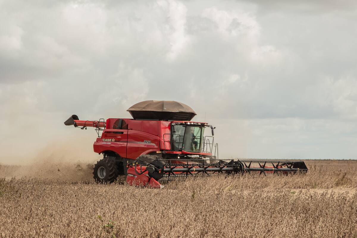 A precios internos, para los productores la mejora en el ingreso con la soja es de US$1144 millones. Se agregan otros US$690 millones con el maíz