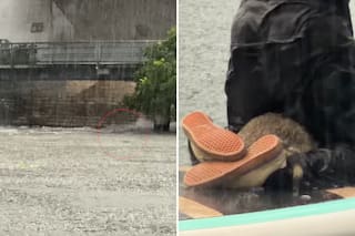 Navegaban en medio de las inundaciones y creyeron que habían rescatado un perro, pero la realidad los sorprendió