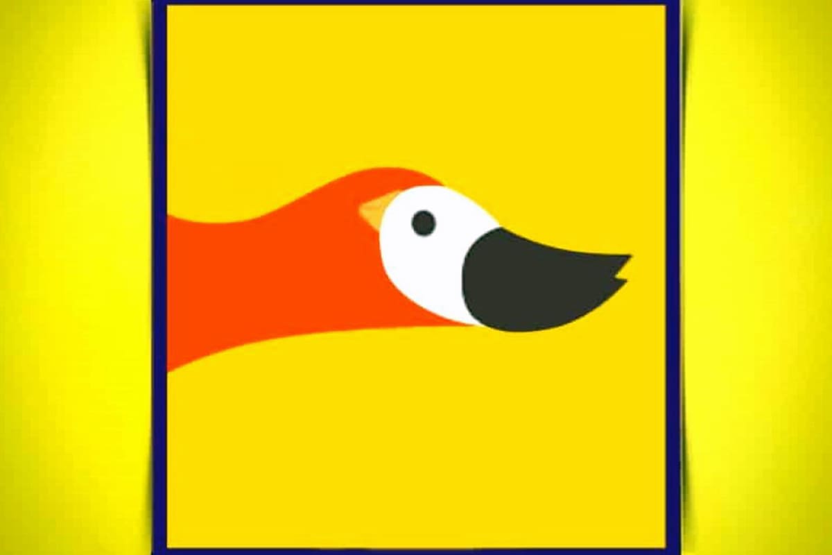 A primera vista.... ¿qué figura ves?