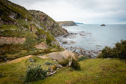 A principios de mes, la legislatura fueguina aprobó por unanimidad la ley que establece como área natural protegida provincial a la Península Mitre