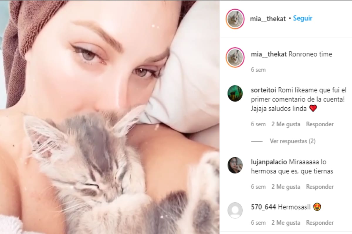 A principios de septiembre, Romina Malaspina adoptó a Mía y le creó su propia cuenta en las redes sociales. Al poco tiempo, la mascota se convirtió en una verdadera influencer