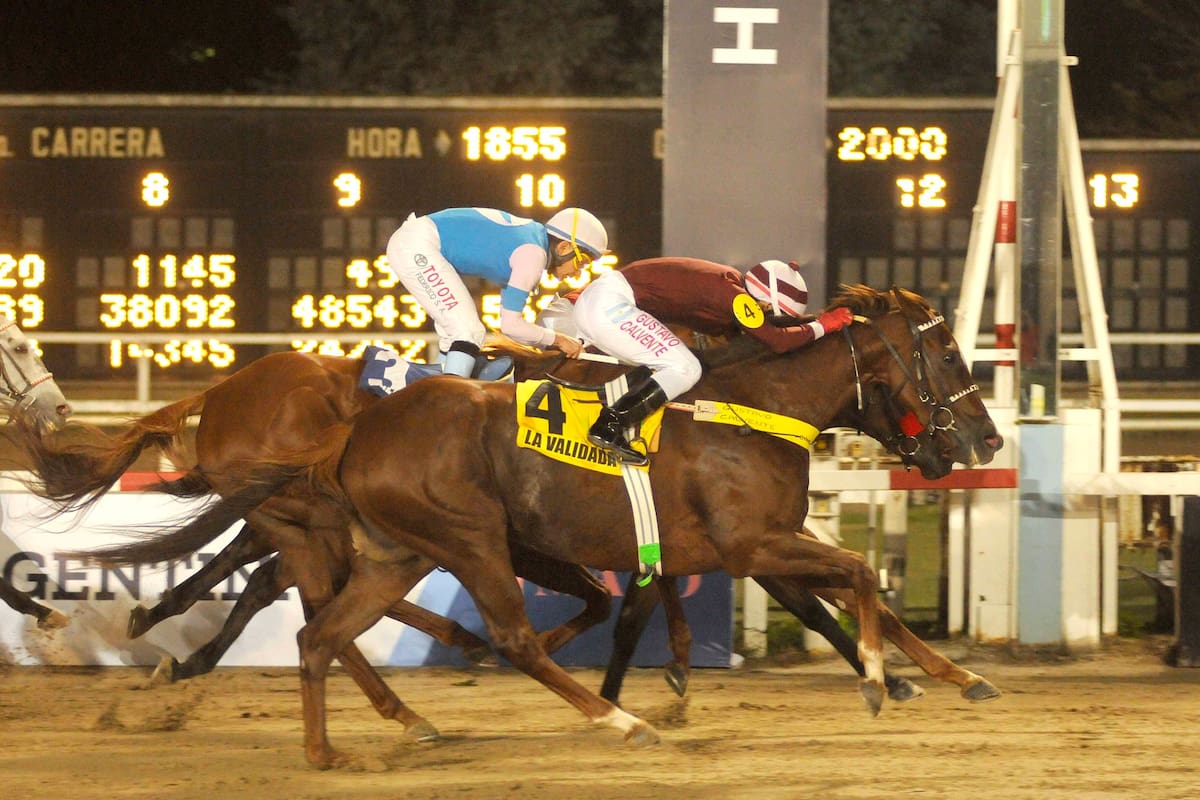A pura guapeza, La Validada se impuso en el Gran Premio Criadores, en un final ajustado