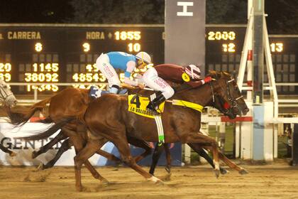A pura guapeza, La Validada se impuso en el Gran Premio Criadores, en un final ajustado