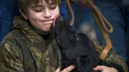 ¿A qué bacterias nos exponemos cuando dejamos que nos laman los perros?