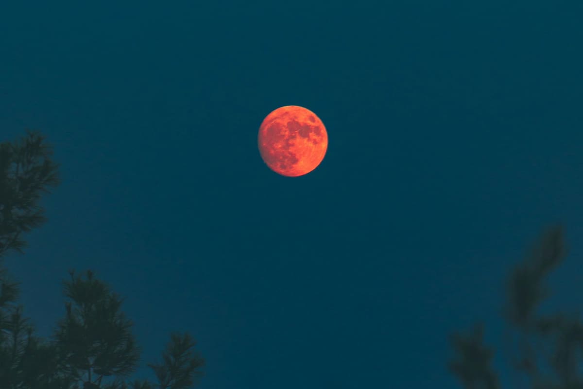 A qué hora se puede ver la "Luna de Sangre" desde la Argentina