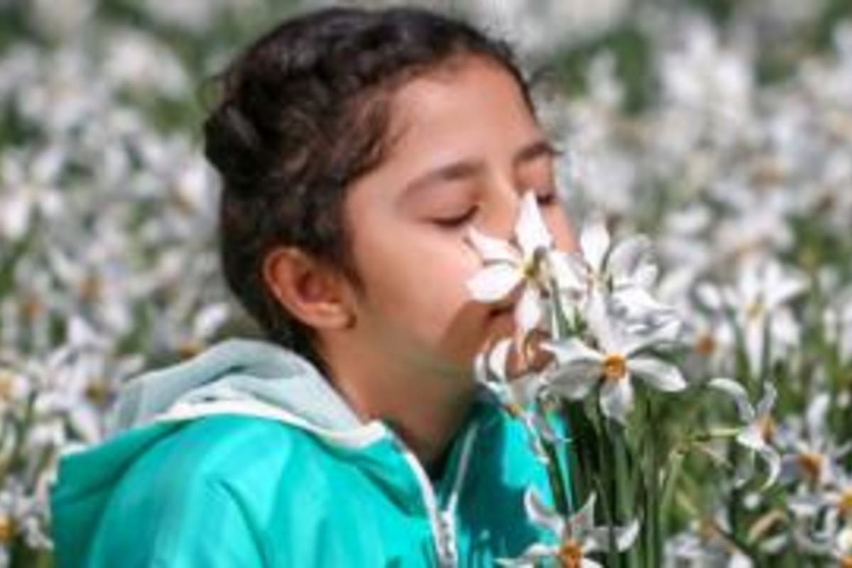 ¿A qué se debe la pérdida de olfato y cuál es su costo emocional?