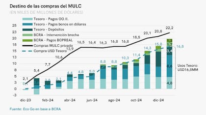 A que se destinaron las compras del BCRA