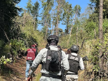 A raíz de las intensificaciones de los operativos, algunas bandas criminales decidieron esconderse y otras mudarse hacía otros lugares
