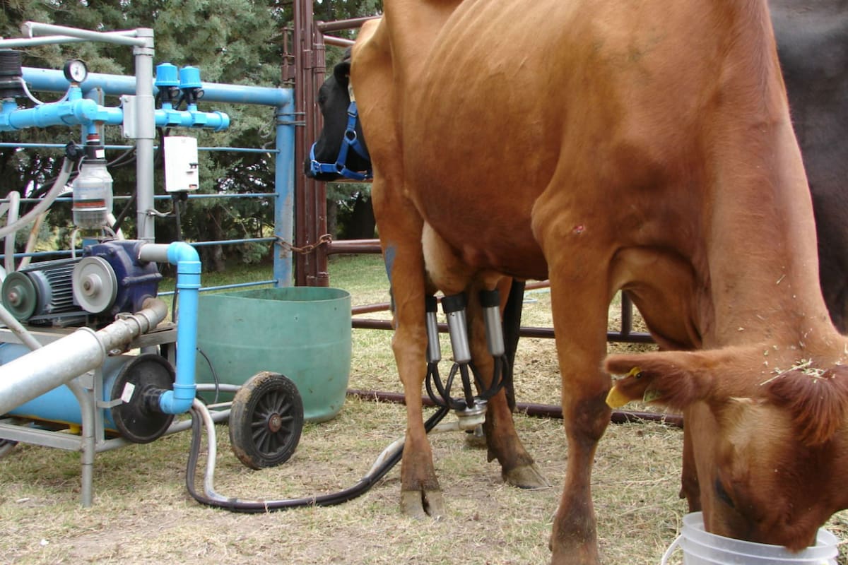 A Rodrigo le robaron una máquina de ordeñe similar a la que aparece en la foto