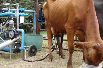 A Rodrigo le robaron una máquina de ordeñe similar a la que aparece en la foto