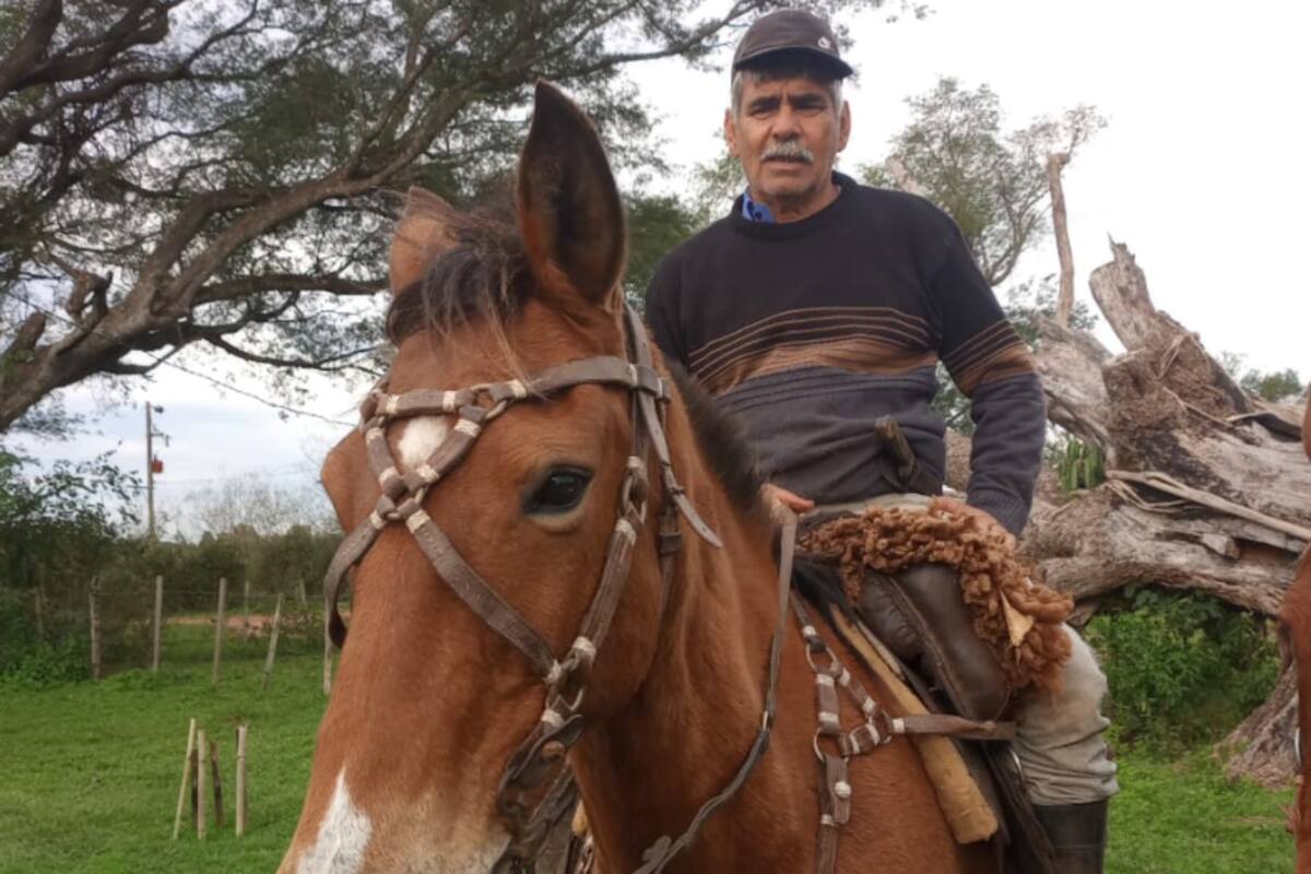 A Rubén Oscar “Nego” Herrera le mataron 11 vacas