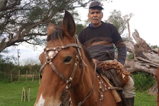 La desazón de un productor correntino al que le mataron 11 vacas a tiros en la costa del río Uruguay