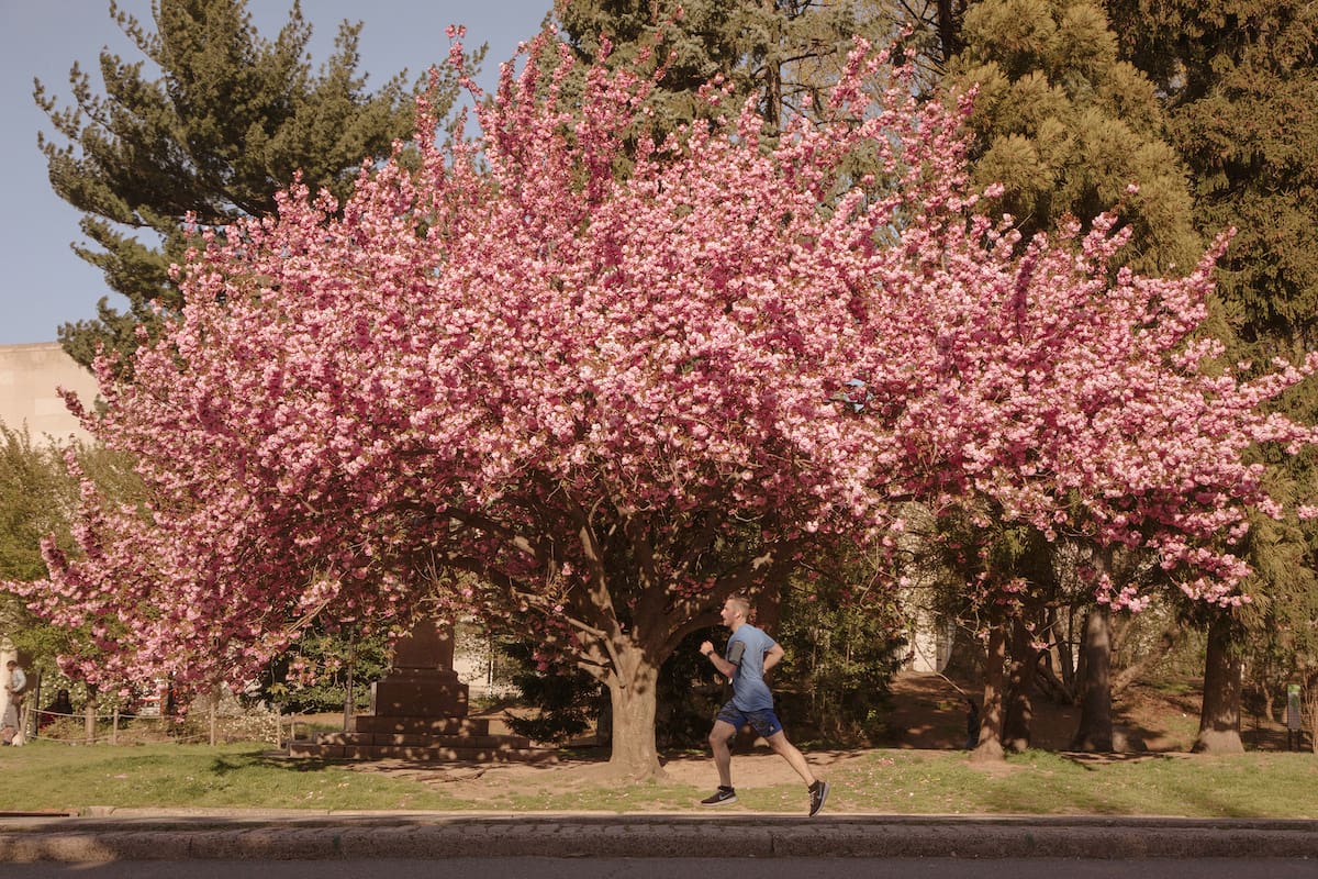 A runner in Prospect Park in New York, April 29, 2022. Whether you’re lacing up your running shoes after a few months or a few years, there are ways to avoid injury and frustration, experts say. (Landon Speers/The New York Times)