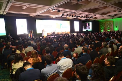 A sala llena, A Todo Trigo 2024 en Mar del Plata