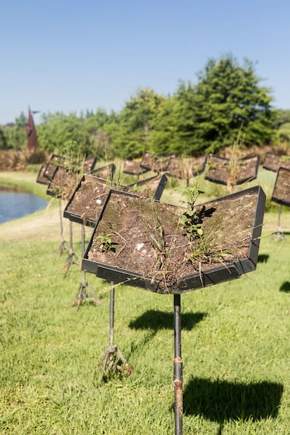 “A toda orquesta con la naturaleza” una instalación de atriles y panes de pasto del artista Carlos Gallardo en la isla.