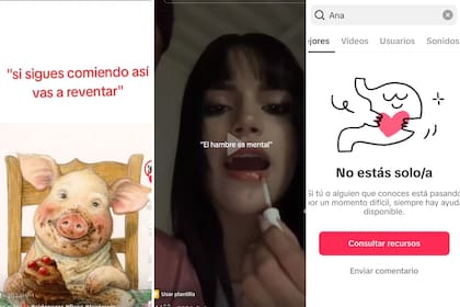 A través de distintas cuentas de TikTok, los usuarios buscan captar a otras personas con sus videos sobre "Ana" y "Mía"