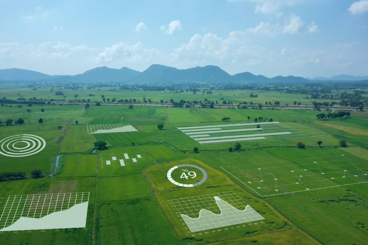 A través de la generación de información, las decisiones basadas en datos generados en el proceso productivo y la mejor gestión de los recursos se podría lograr lo que se conoce como “Campos Inteligentes”