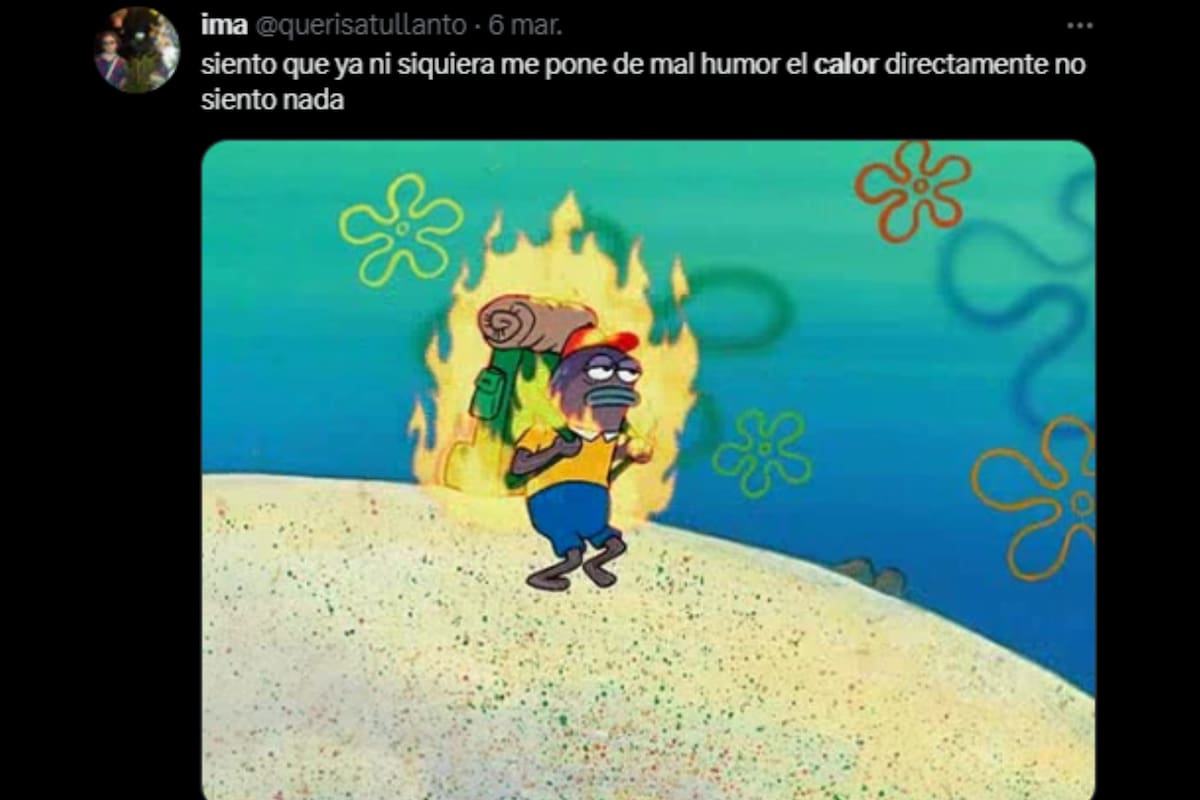 A través de memes, se habló de la ola de calor (Captura Twitter)