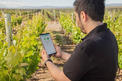 A través de Proyectos de Acción Climática, Kilimo colabora con productores para hacer más eficiente el uso del agua en la agricultura y con actores que tienen como meta ser agua neta positiva