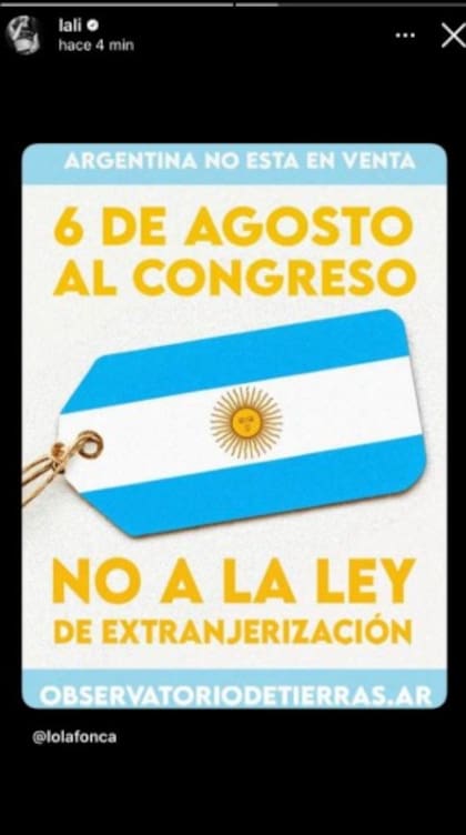 A través de sus historias de Instagram, Lali invitó a participar de la protesta contra la reforma de la Ley de Tierras (Captura: Instagram @lali)