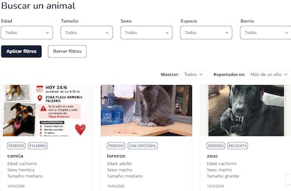 A través de un sencillo buscador puede darse con el paradero de un animal