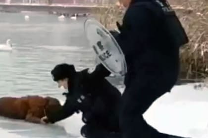 A través de una cadena humana, los uniformados chinos lograron rescatar al perro de un claro de aguas heladas