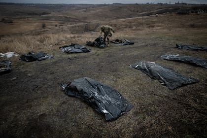 Un especialista recoge los restos de soldados rusos muertos en la región de Kharkiv, Ucrania, el 20 de enero de 2024