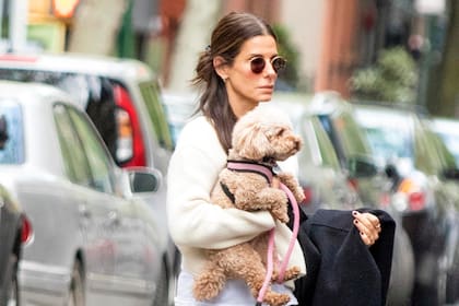A un año de su decisión de alejarse de los sets, Sandra Bullock fue fotografiada de paseo con su perrito por Nueva York