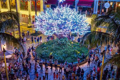 A una distancia cercana de la estación de West Palm Beach, se encuentra el moderno centro comercial The Square