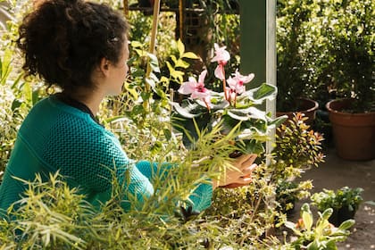 A veces, la solución más potente para cuidar tus plantas y tu terraza se encuentra en el reciclaje y la alacena