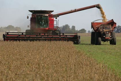 En soja versus el promedio de los últimos tres años se requiere un 29% más del grano, 3,4 toneladas, para adquirir una tonelada de fosfato monoamónico
