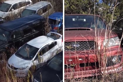 Abandonados, es imposible recuperar estos autos bajo ningún punto de vista