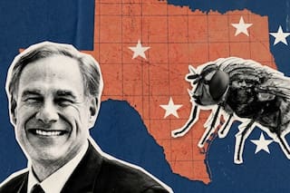 Texas liberará un enjambre de moscas estériles